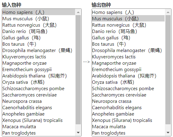 通用的占位符缩略图