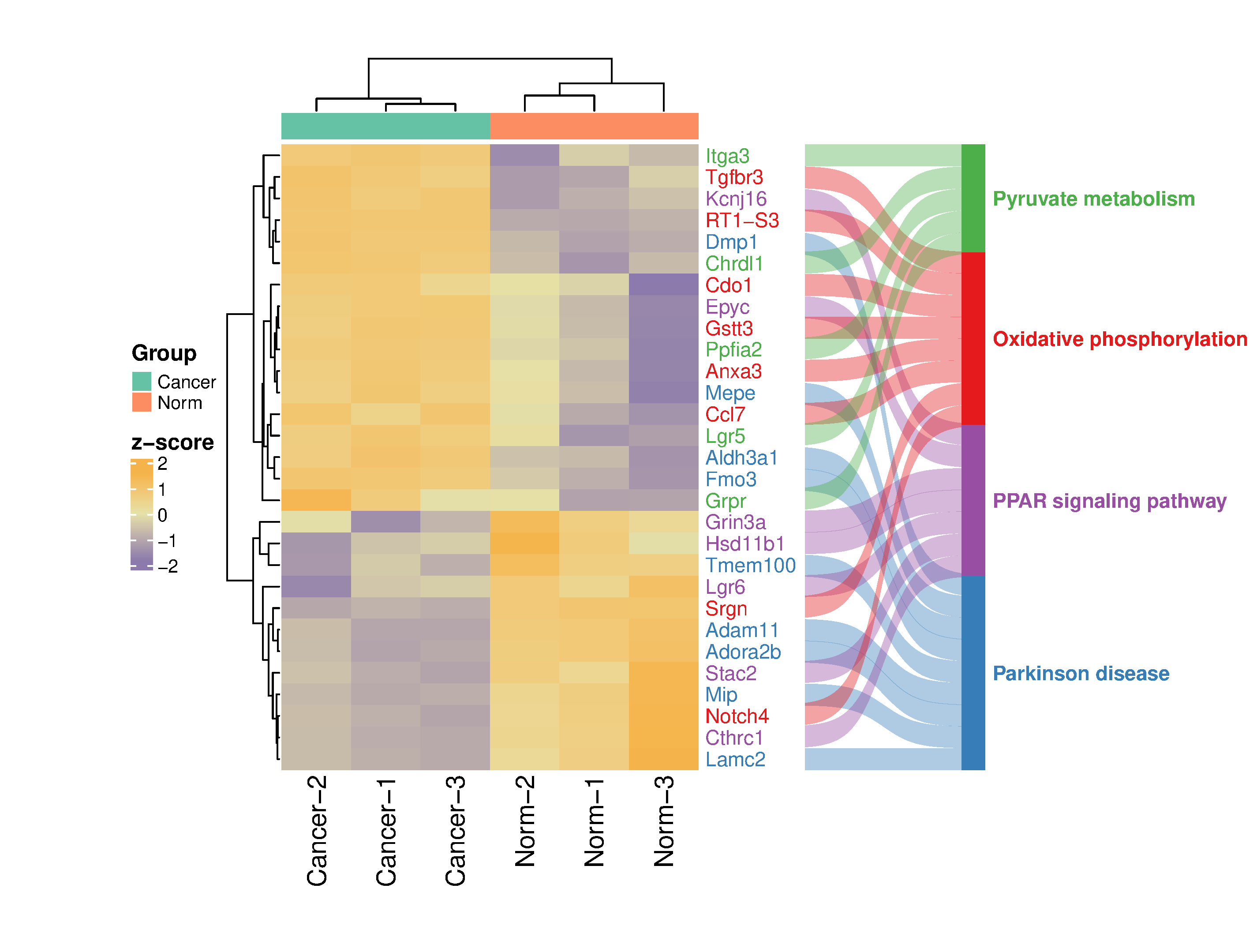 通用的占位符缩略图